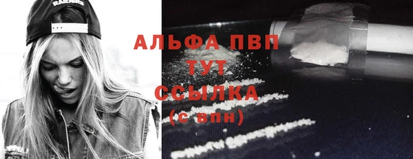 прущие грибы Лихославль
